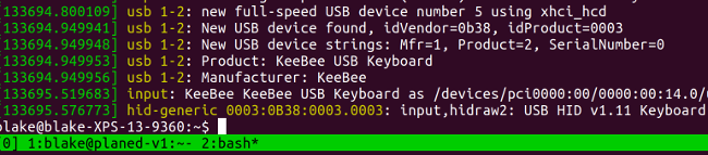KeeBee dmesg USB output